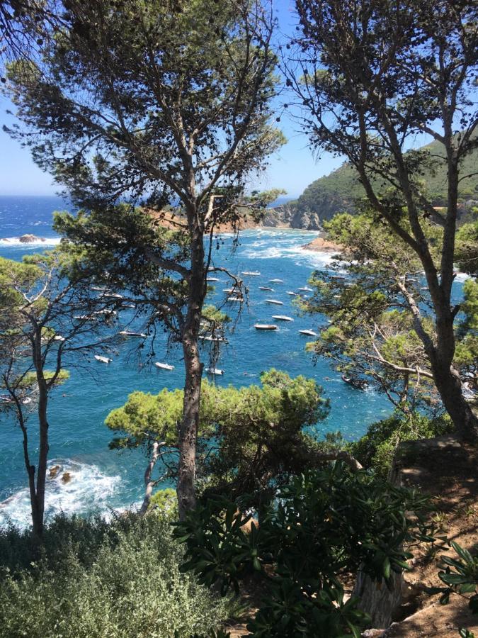 Cap Sa Sal Navy, Begur, Girona Lägenhet Exteriör bild