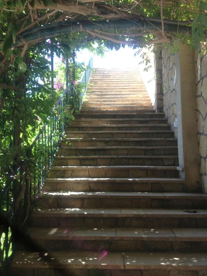 Cap Sa Sal Navy, Begur, Girona Lägenhet Exteriör bild