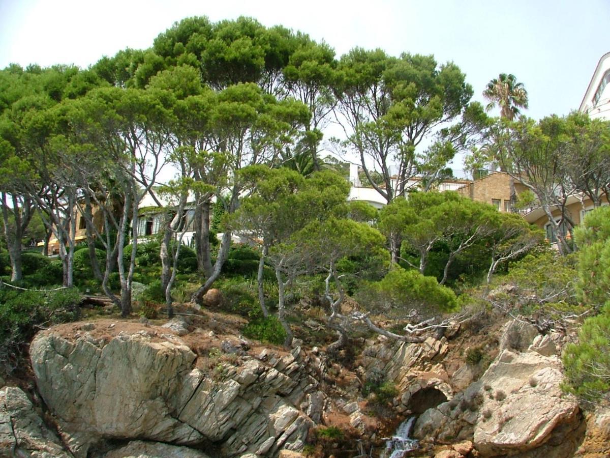 Cap Sa Sal Navy, Begur, Girona Lägenhet Exteriör bild